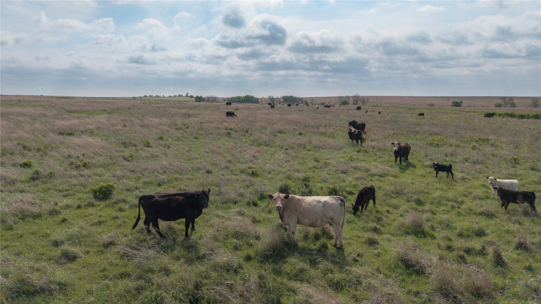 0042 E 4500 Road Pawnee OK 73061