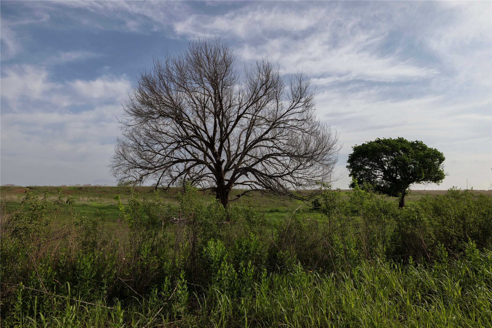 0042 E 4500 Road Pawnee OK 73061