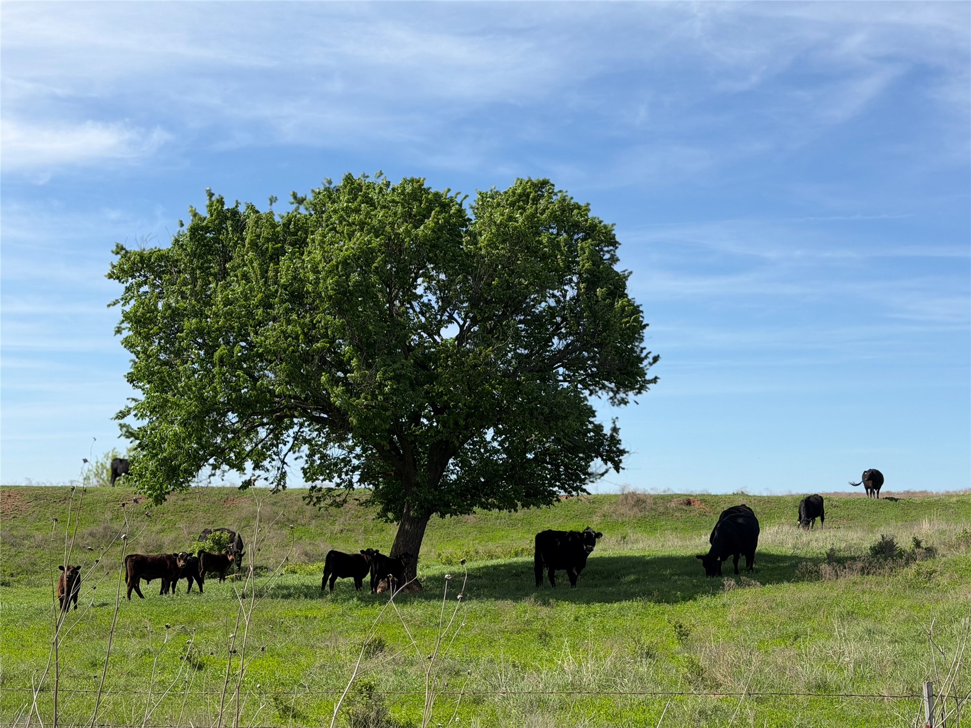 0042 E 4500 Road Pawnee OK 73061