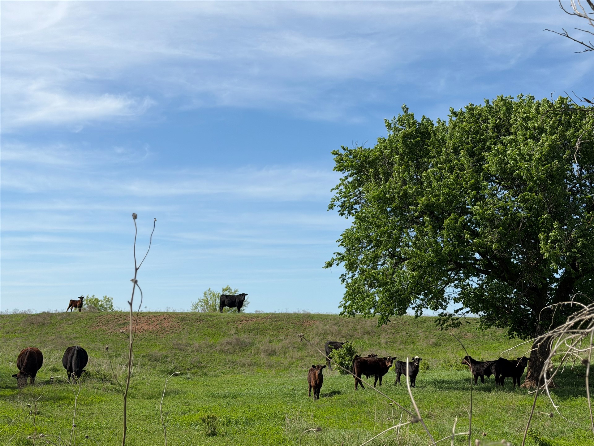 0042 E 4500 Road Pawnee OK 73061