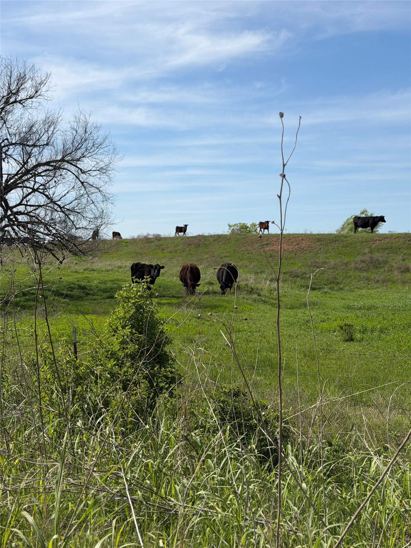 0042 E 4500 Road Pawnee OK 73061