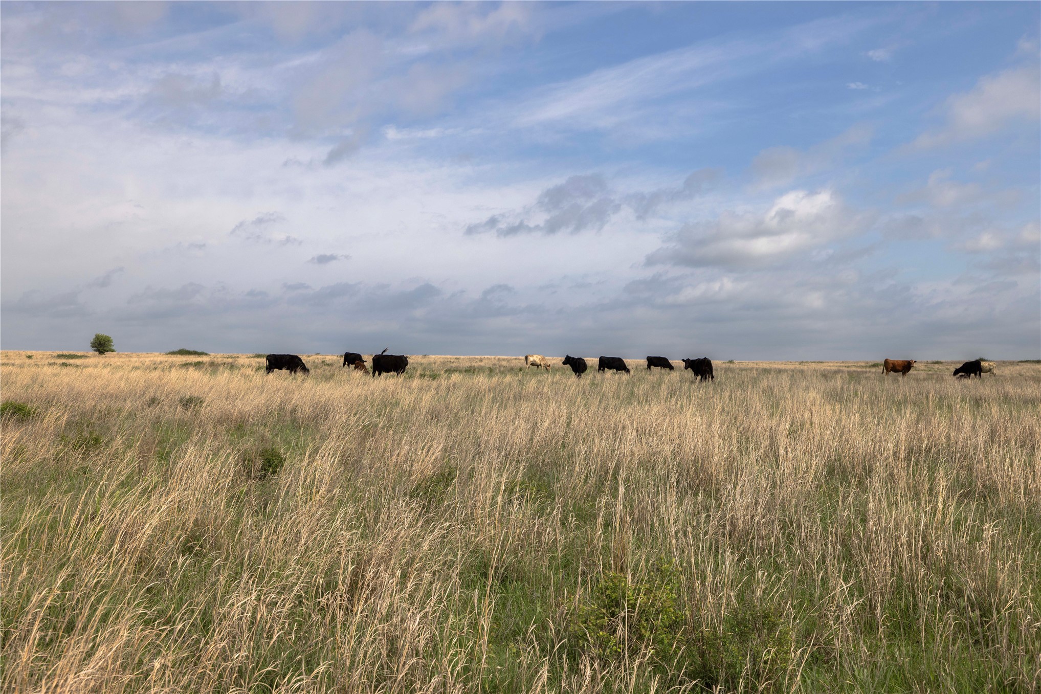 0042 E 4500 Road Pawnee OK 73061