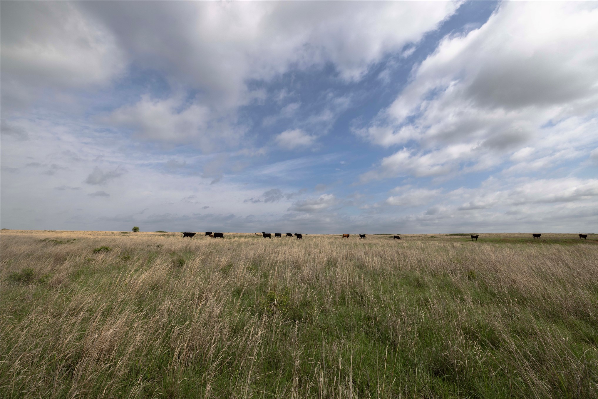 0042 E 4500 Road Pawnee OK 73061