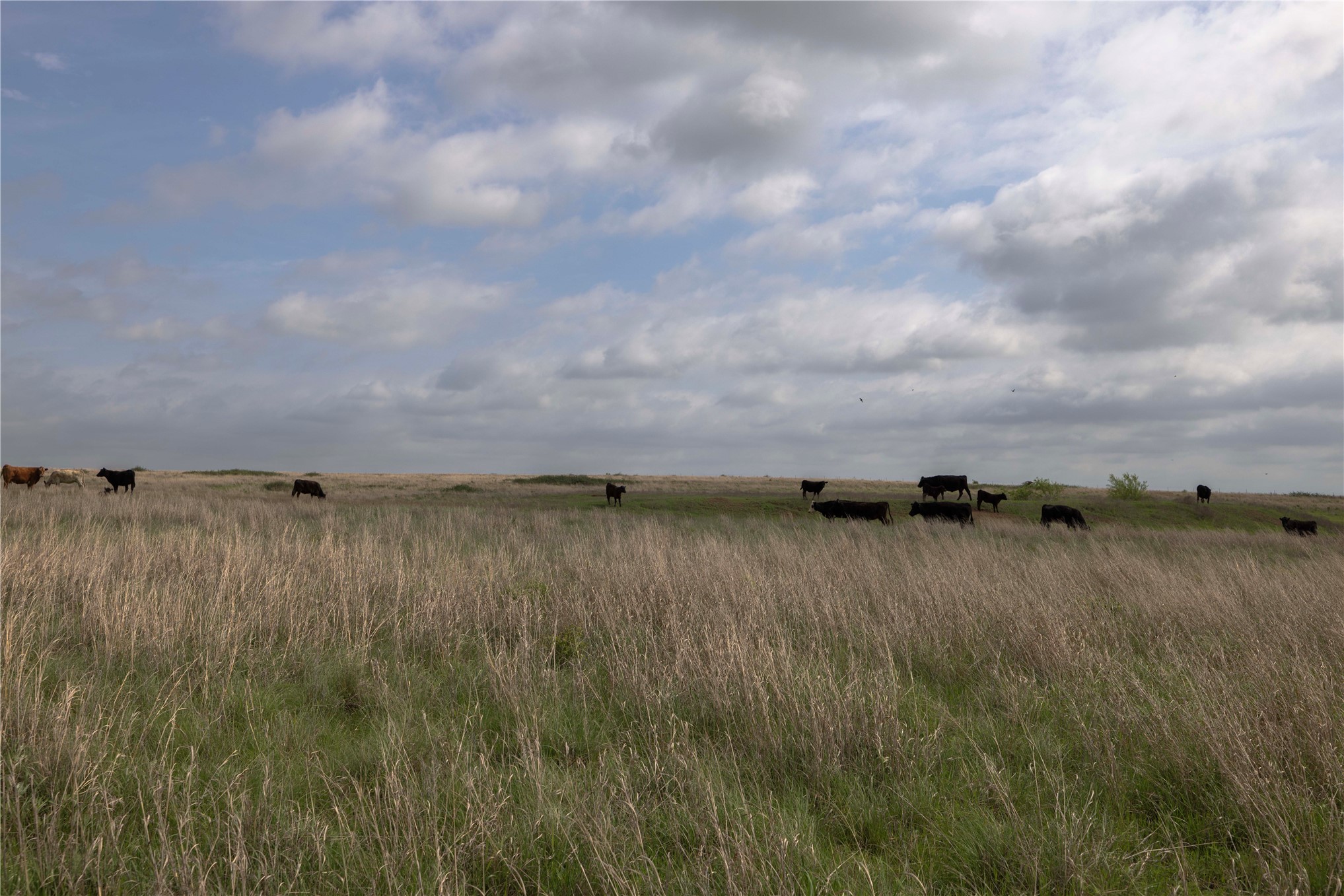 0042 E 4500 Road Pawnee OK 73061
