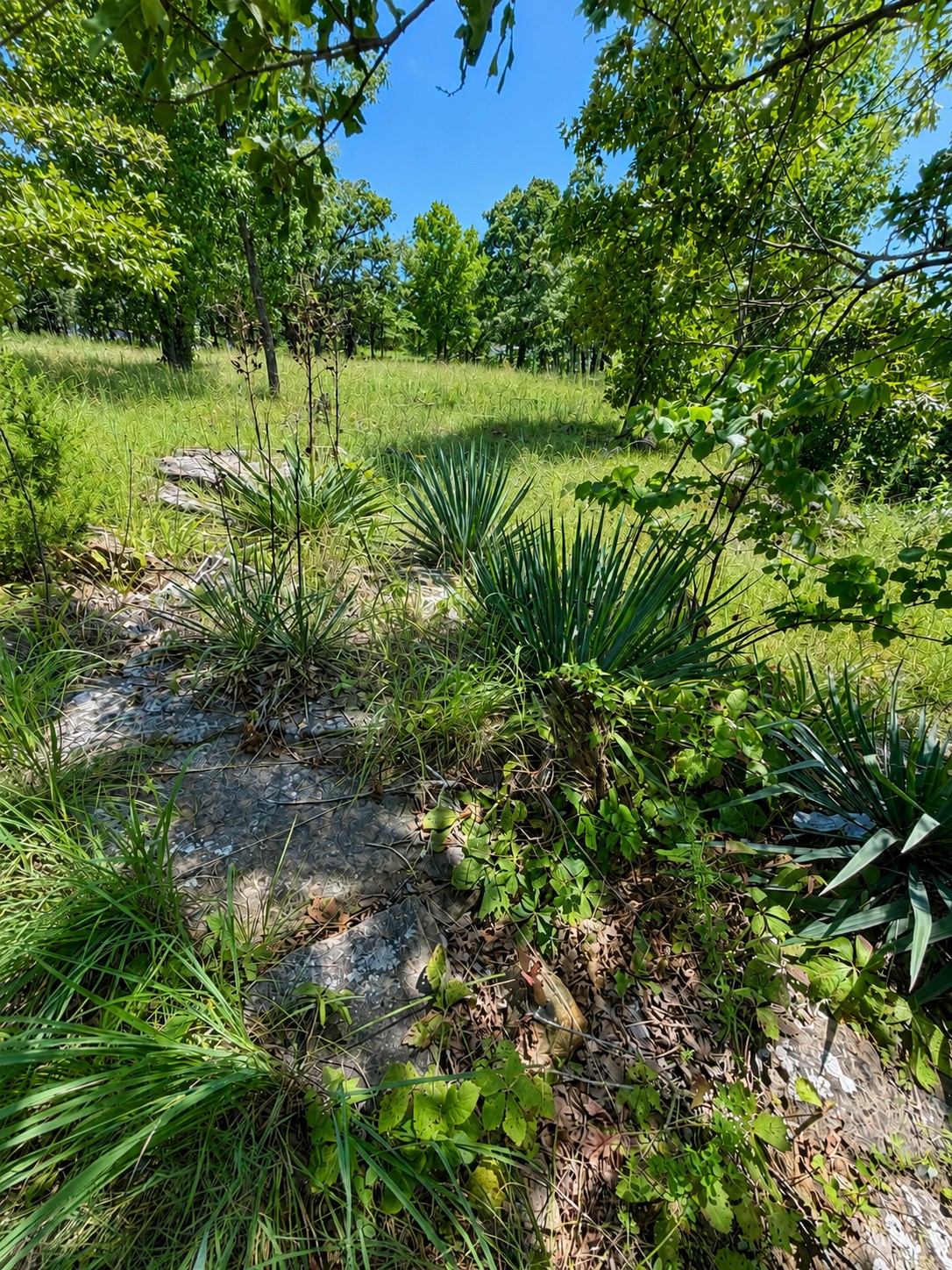 6408 Merrimack Drive Sand Springs OK 74063