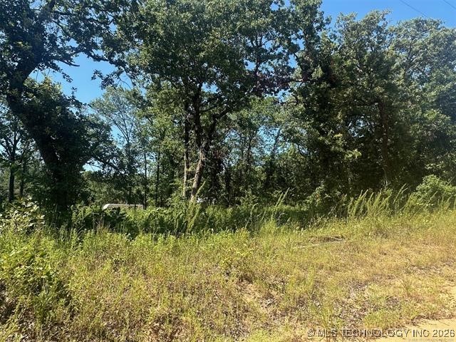 1 Driftwood Road Kingston OK 73439
