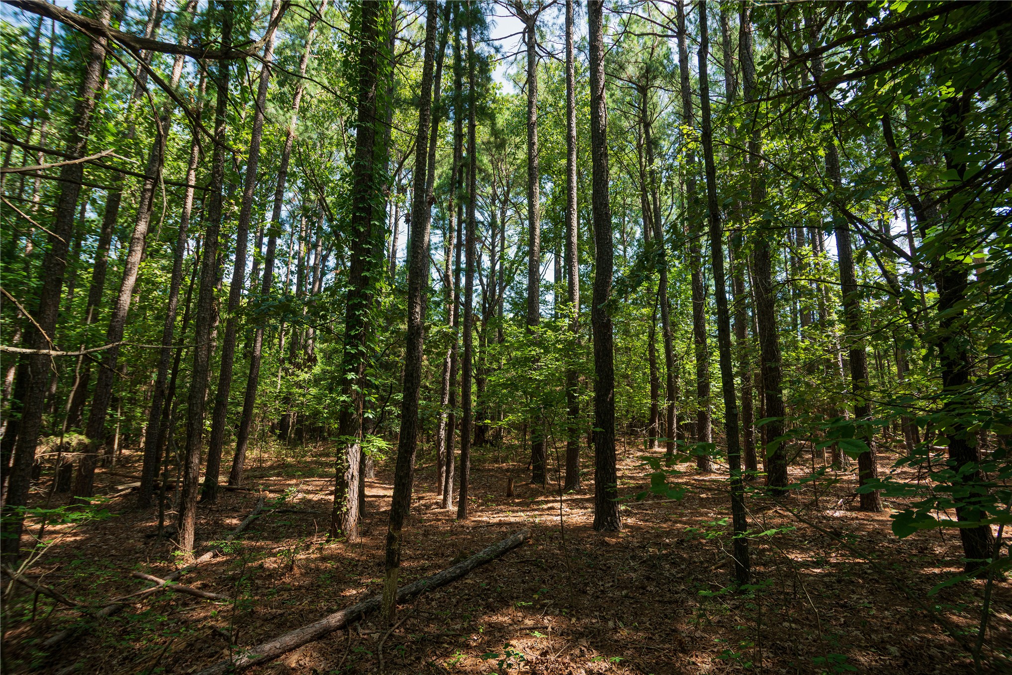 34295 Basin Road Mannford OK 74044