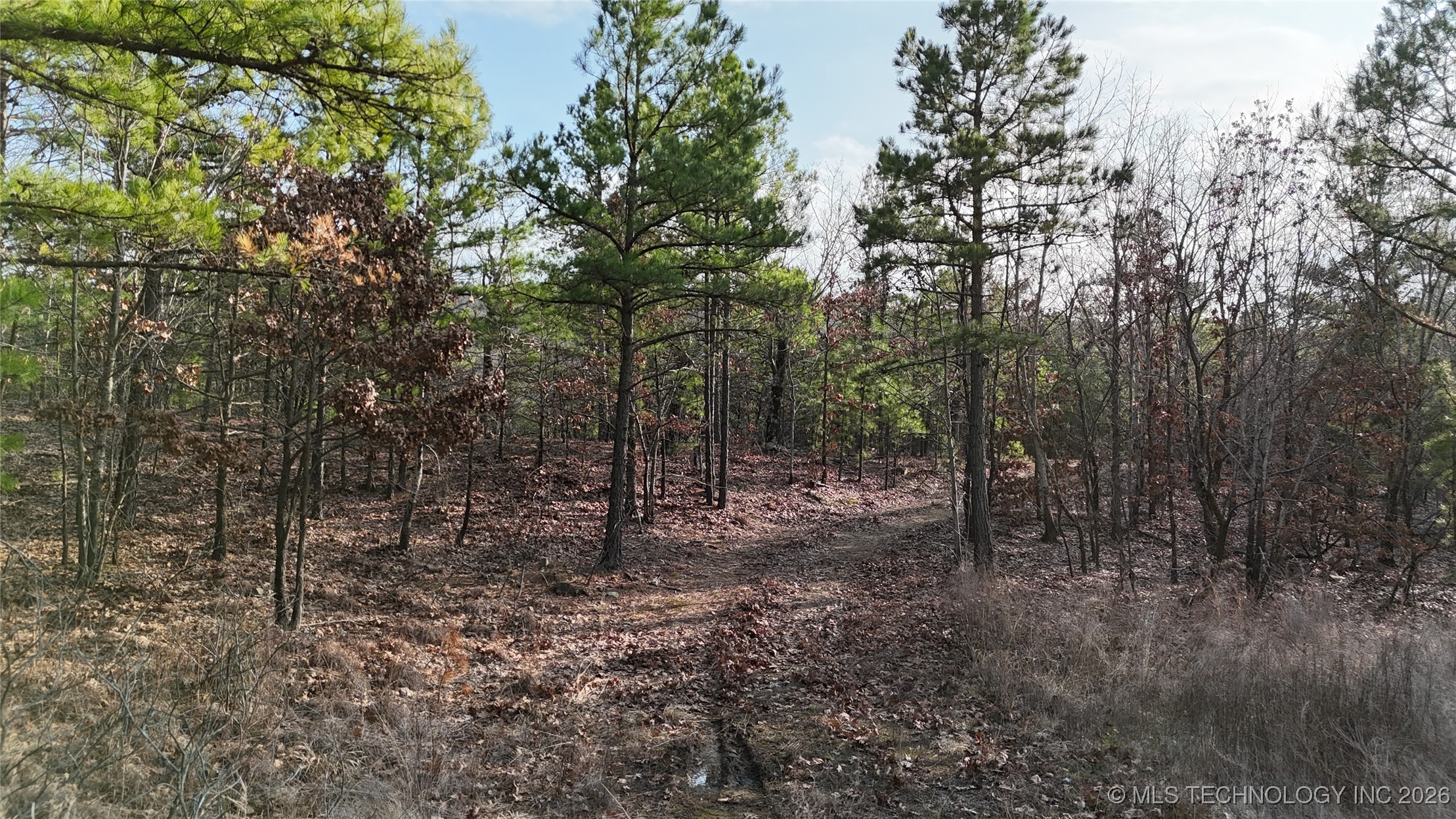 6105 SE 1095 Avenue Panola OK 74559