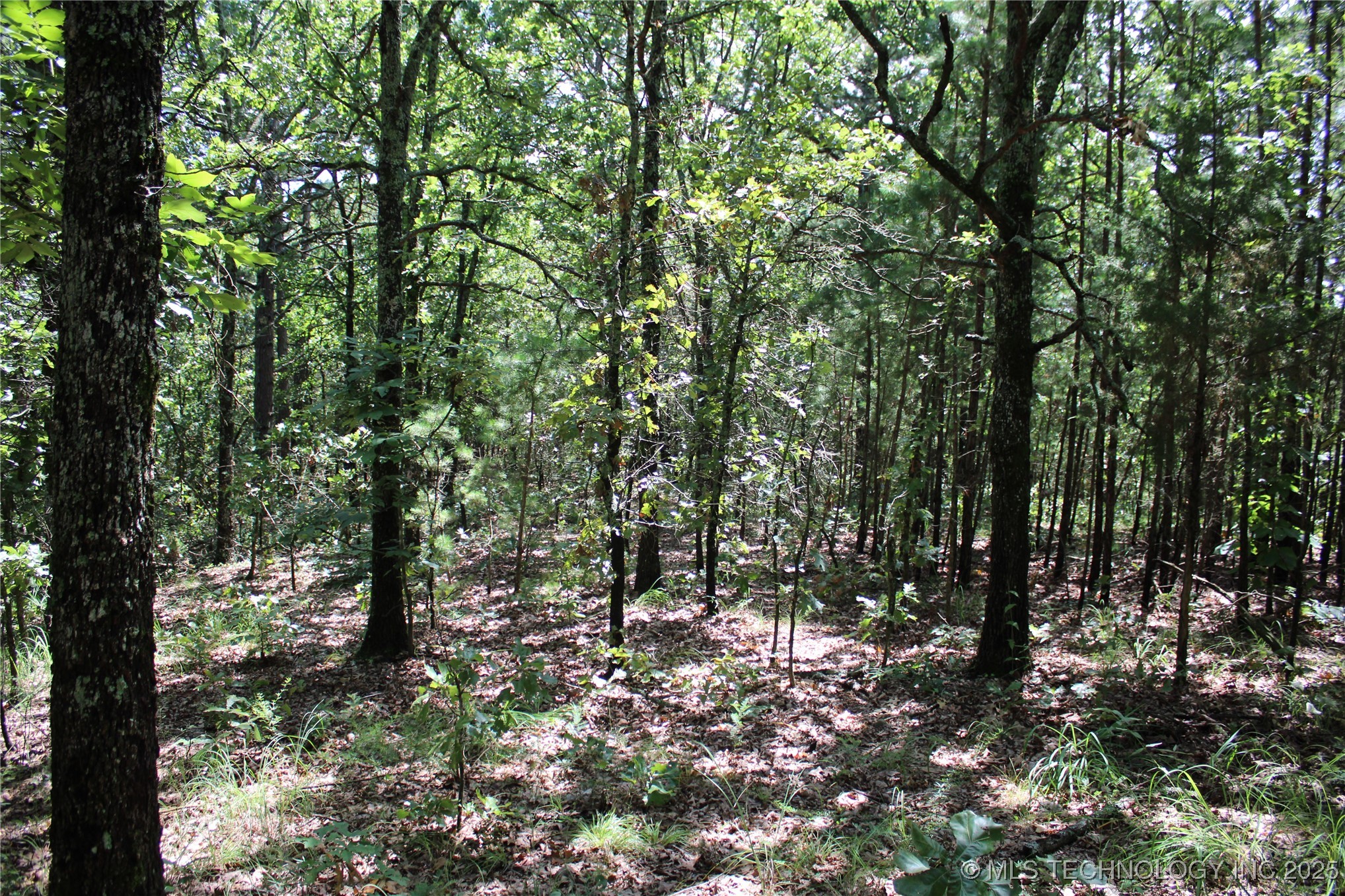 0000 E 495 Road Jay OK 74346