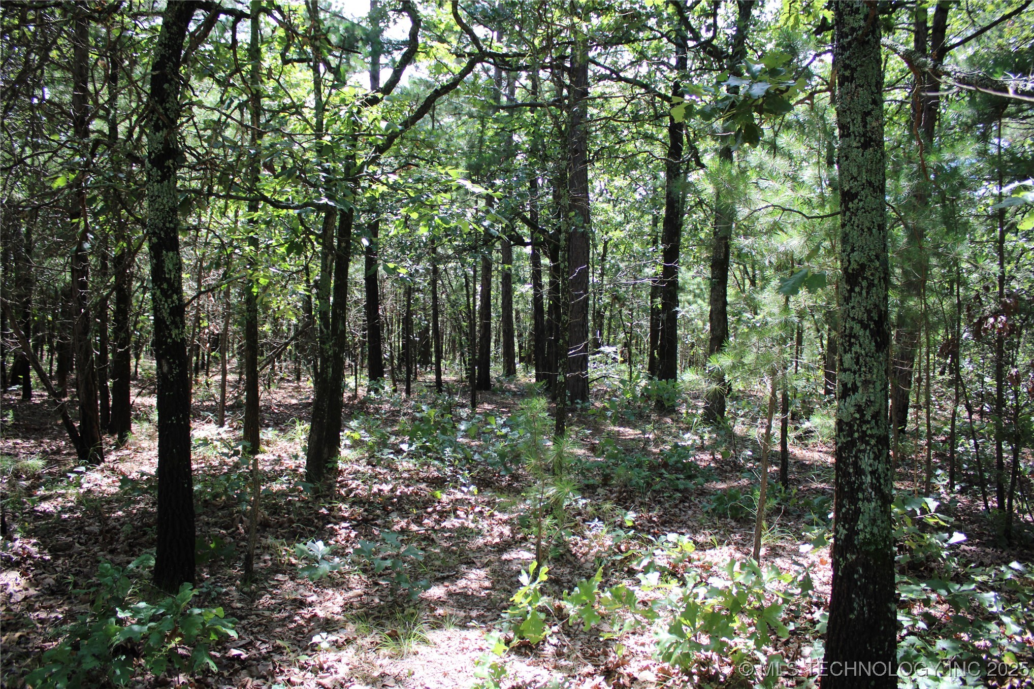 0000 E 495 Road Jay OK 74346