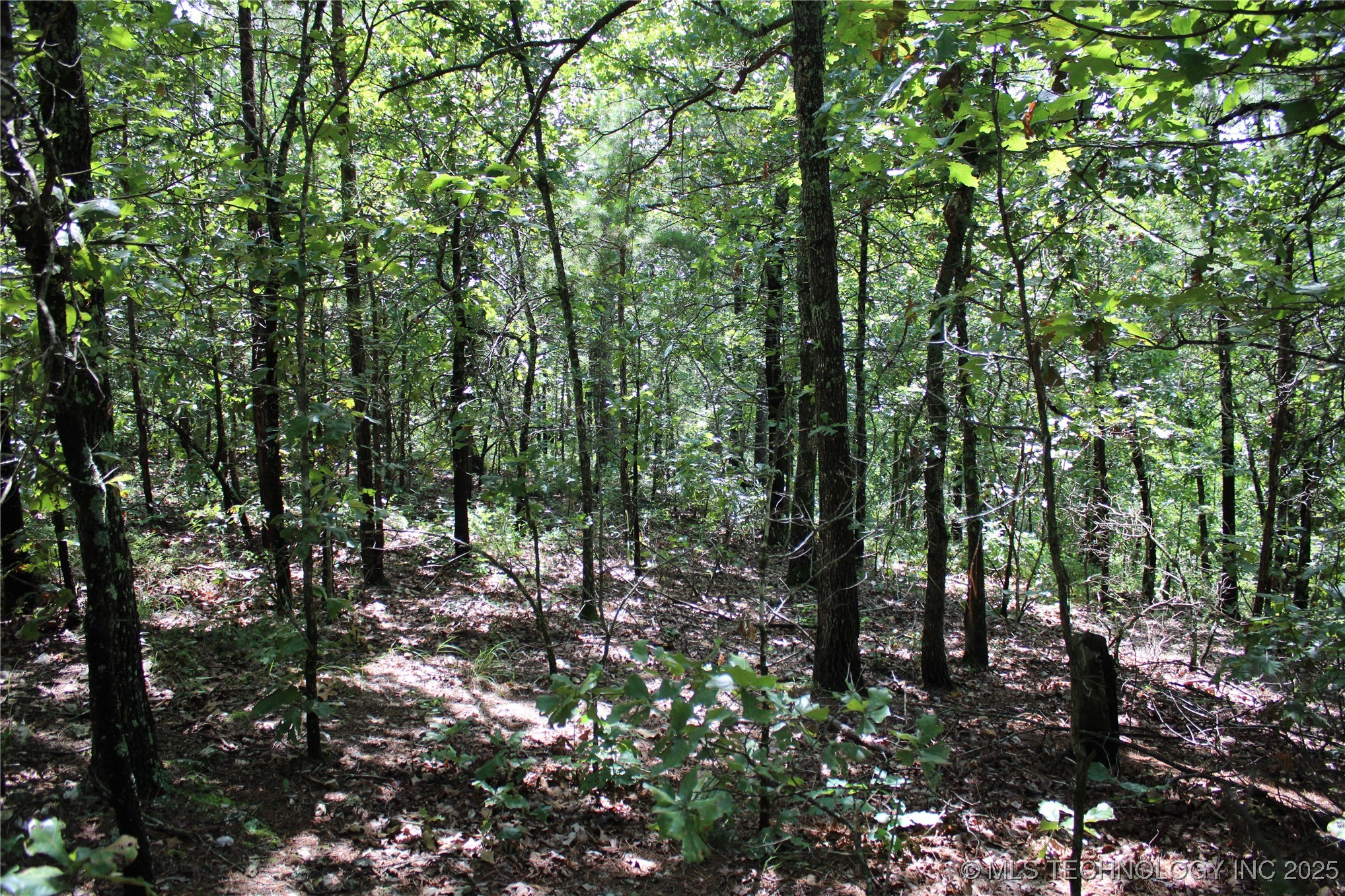 0000 E 495 Road Jay OK 74346