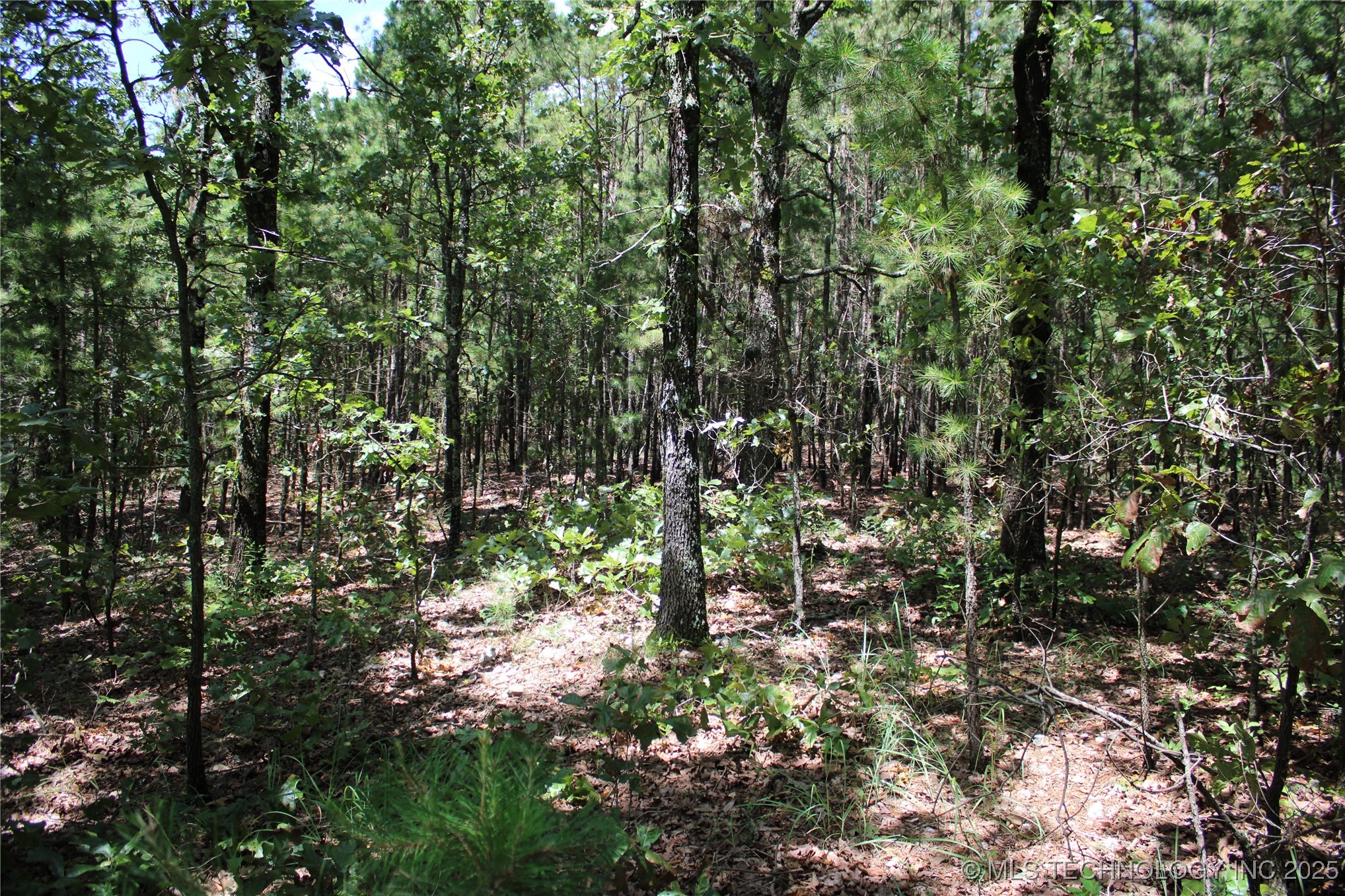 0000 E 495 Road Jay OK 74346