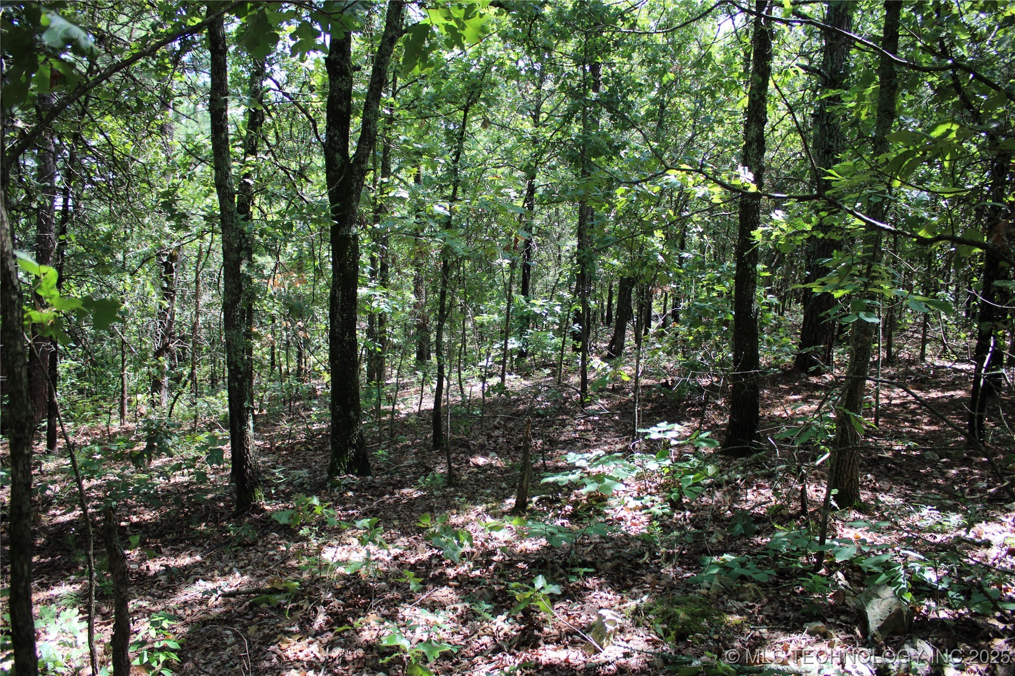 0000 E 495 Road Jay OK 74346