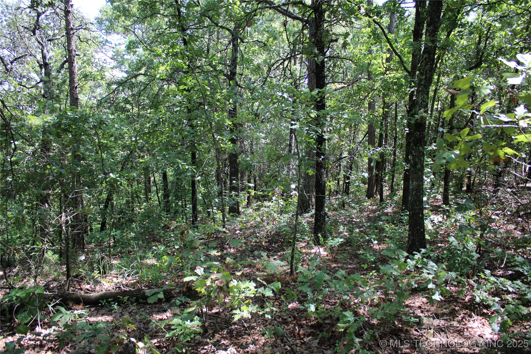 0000 E 495 Road Jay OK 74346