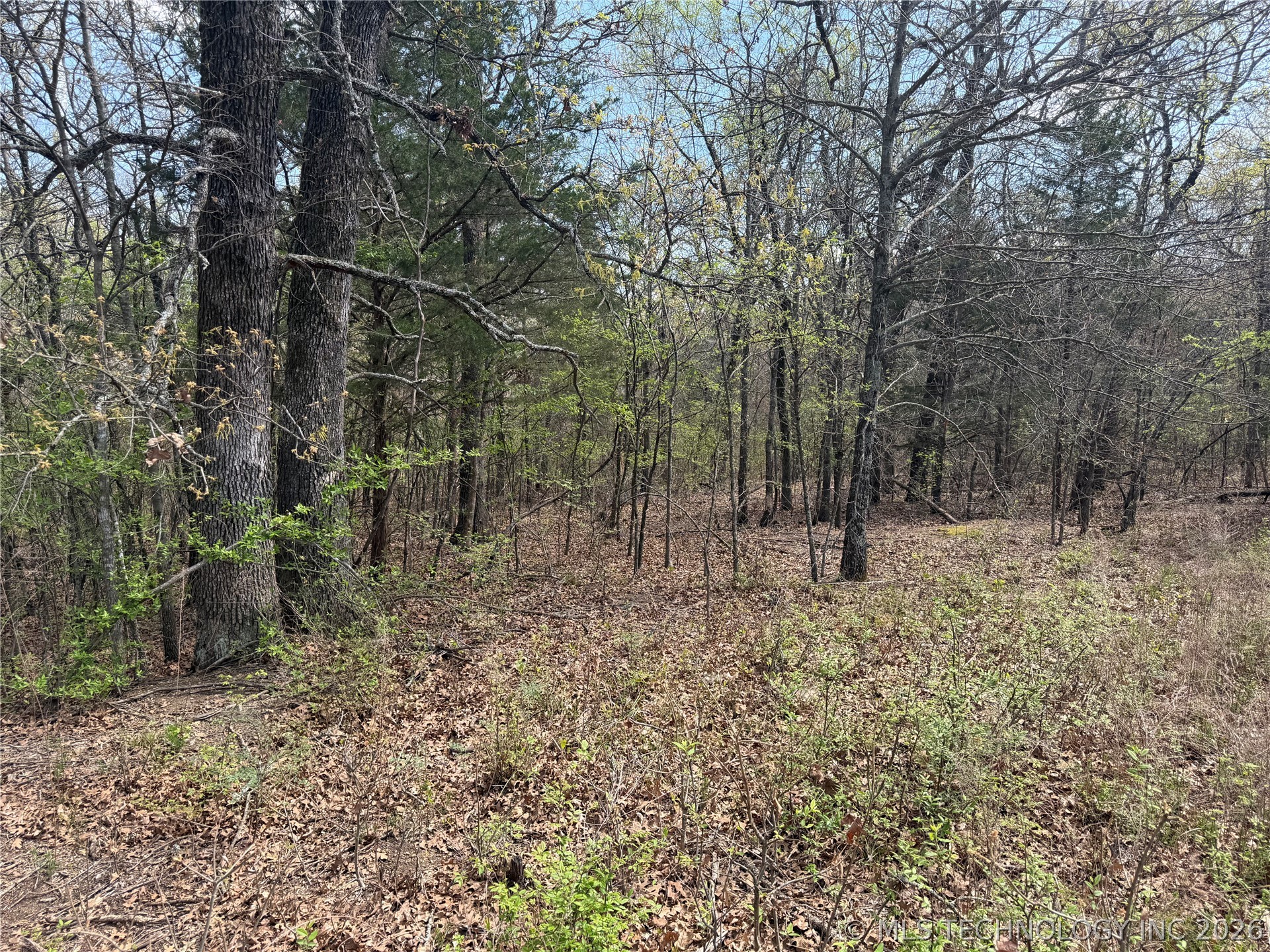 10 County Road 3410 Roff OK 74820