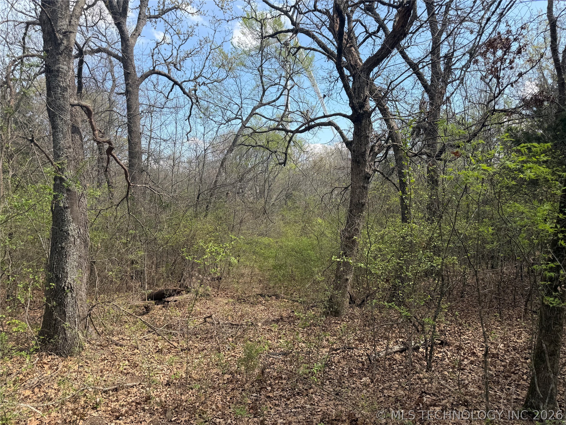 10 County Road 3410 Roff OK 74820