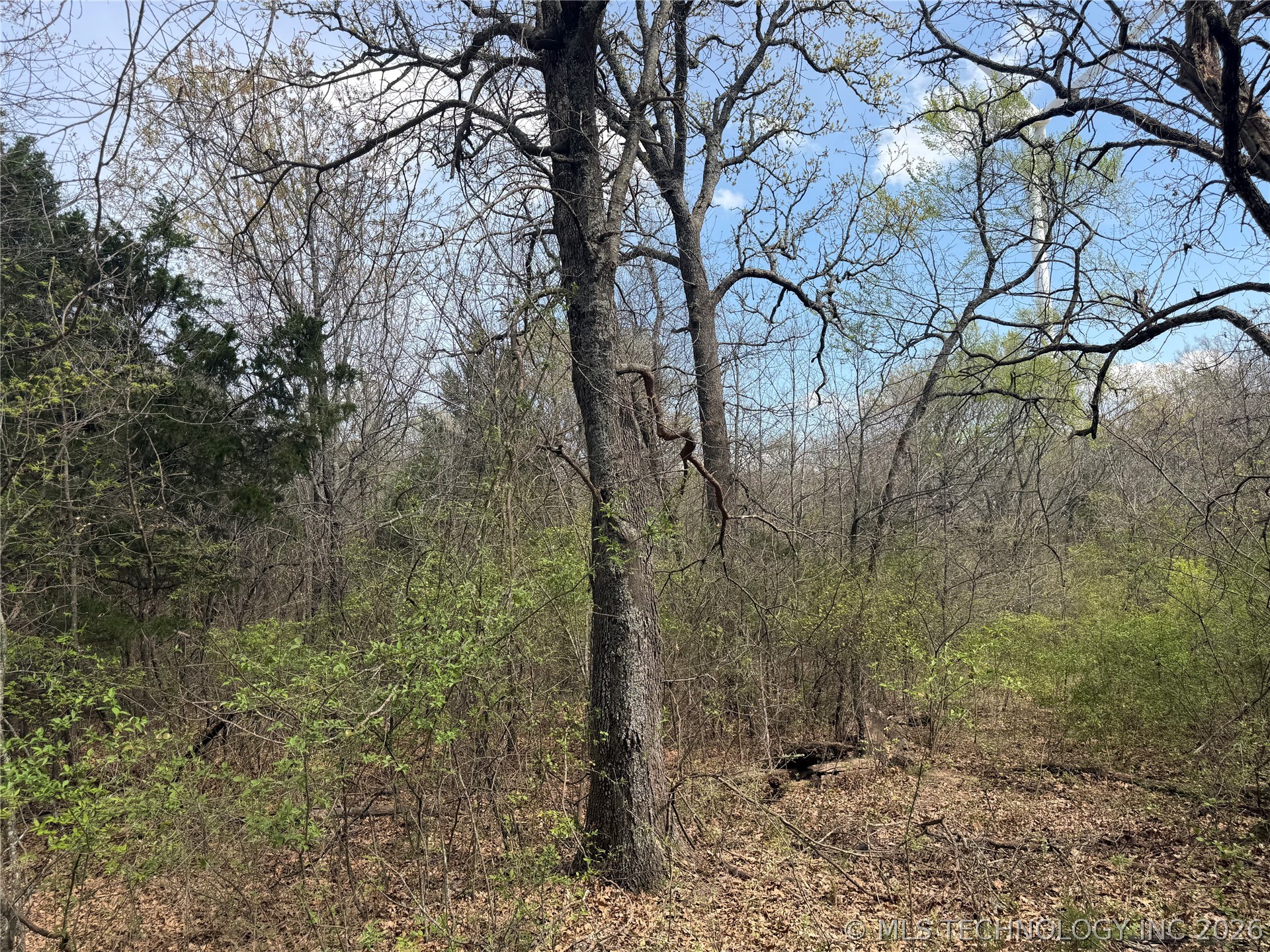 10 County Road 3410 Roff OK 74820