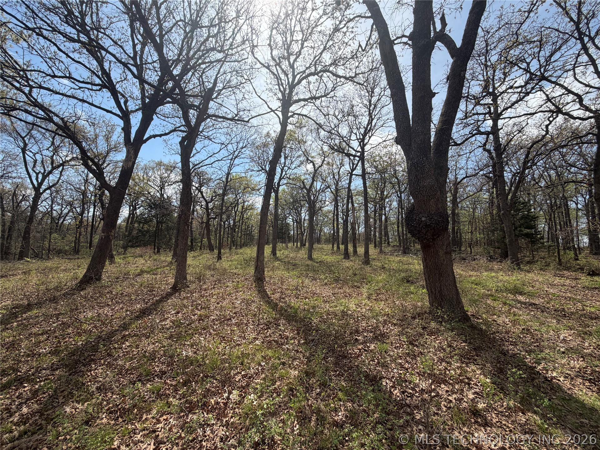 10 County Road 3410 Roff OK 74820