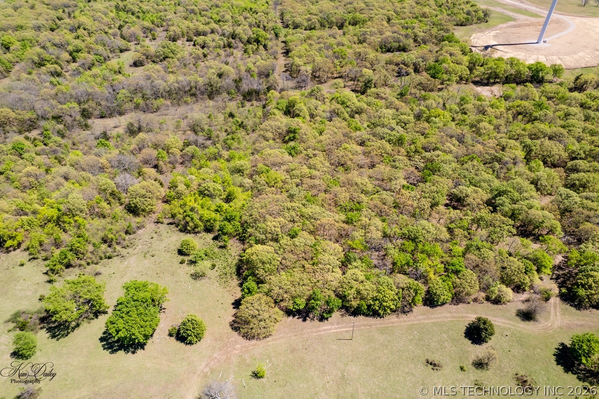 10 County Road 3410 Roff OK 74820