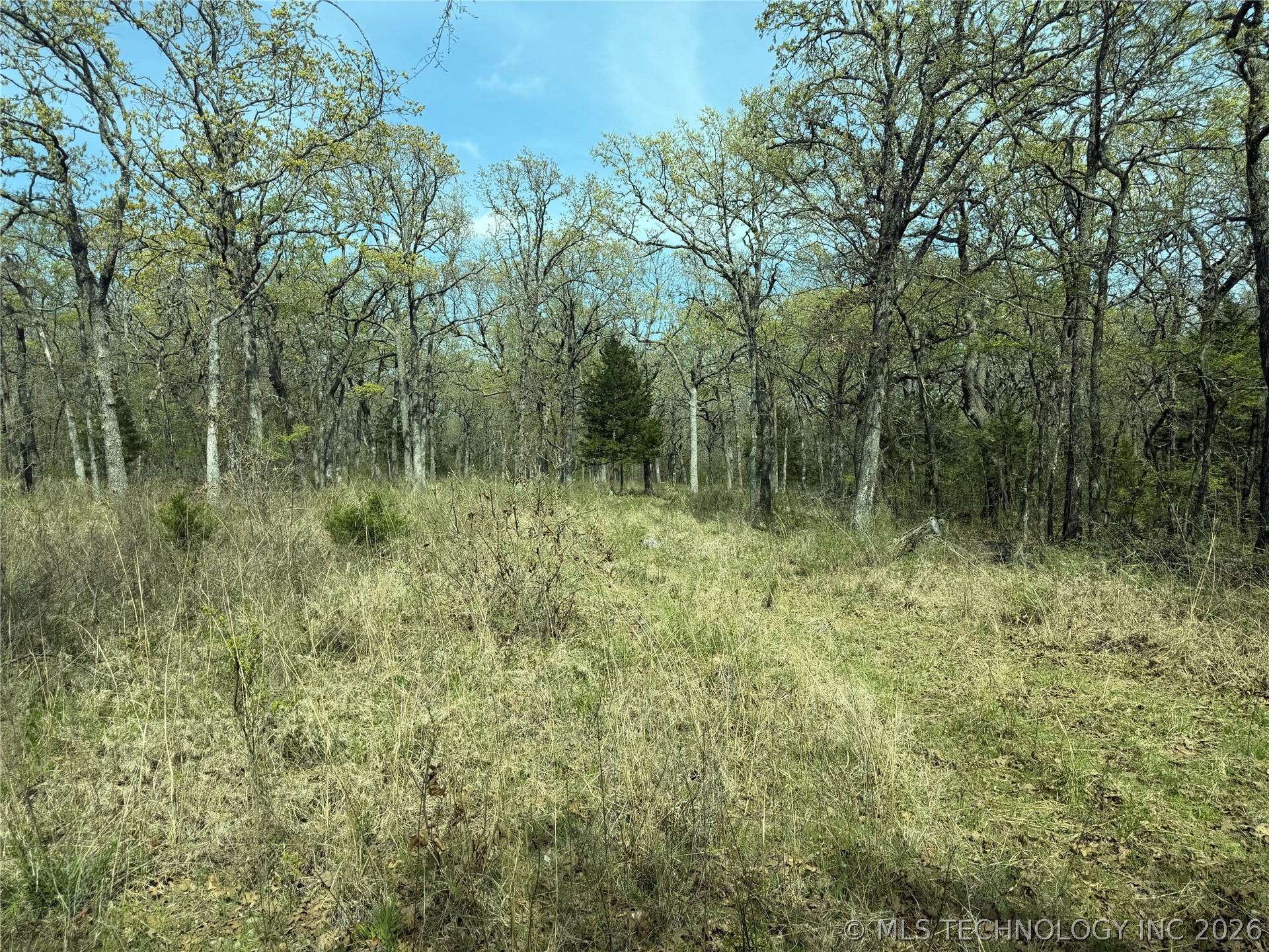 10 County Road 3410 Roff OK 74820