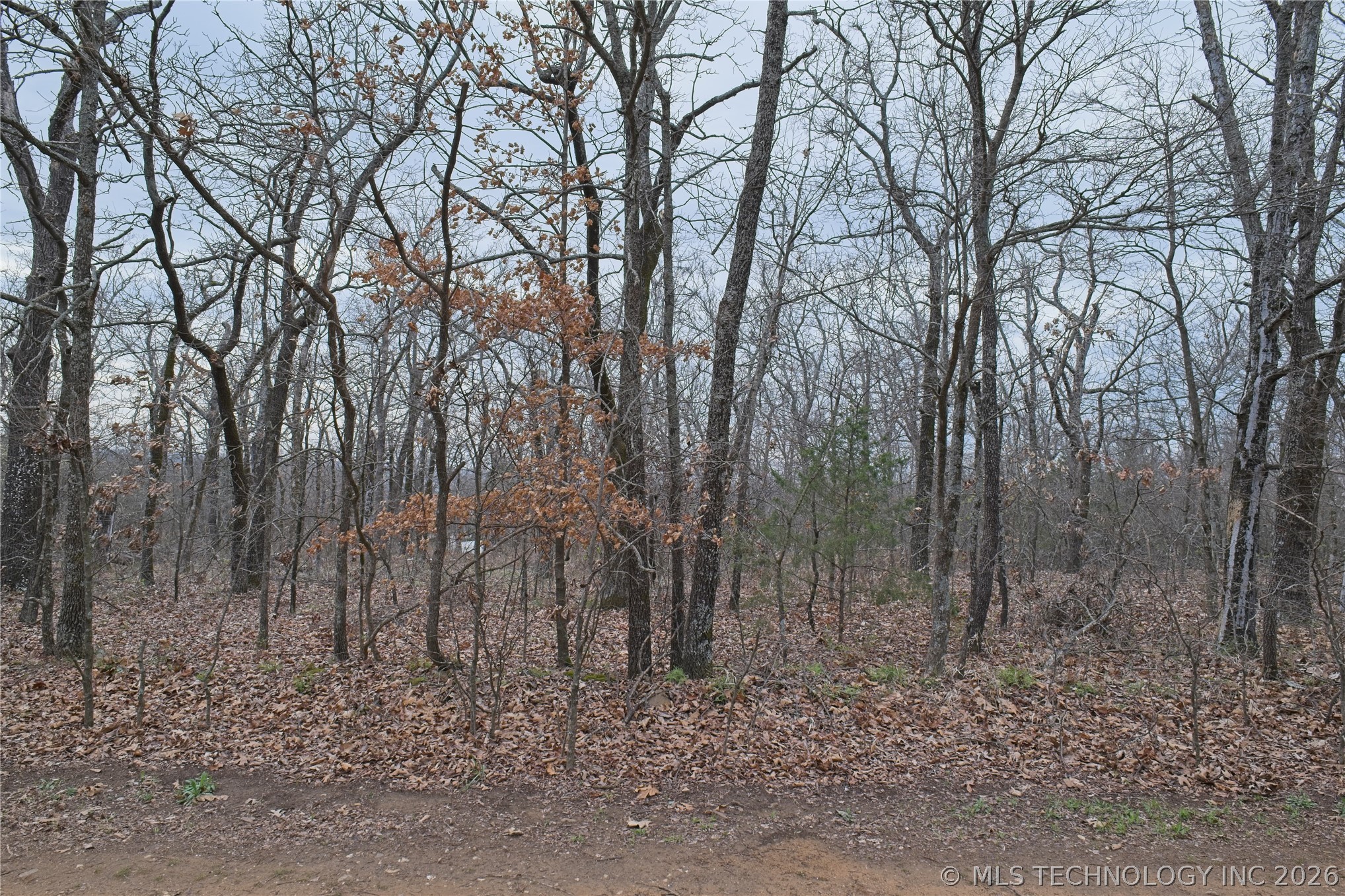 S 4547 Drive Vian OK 74962