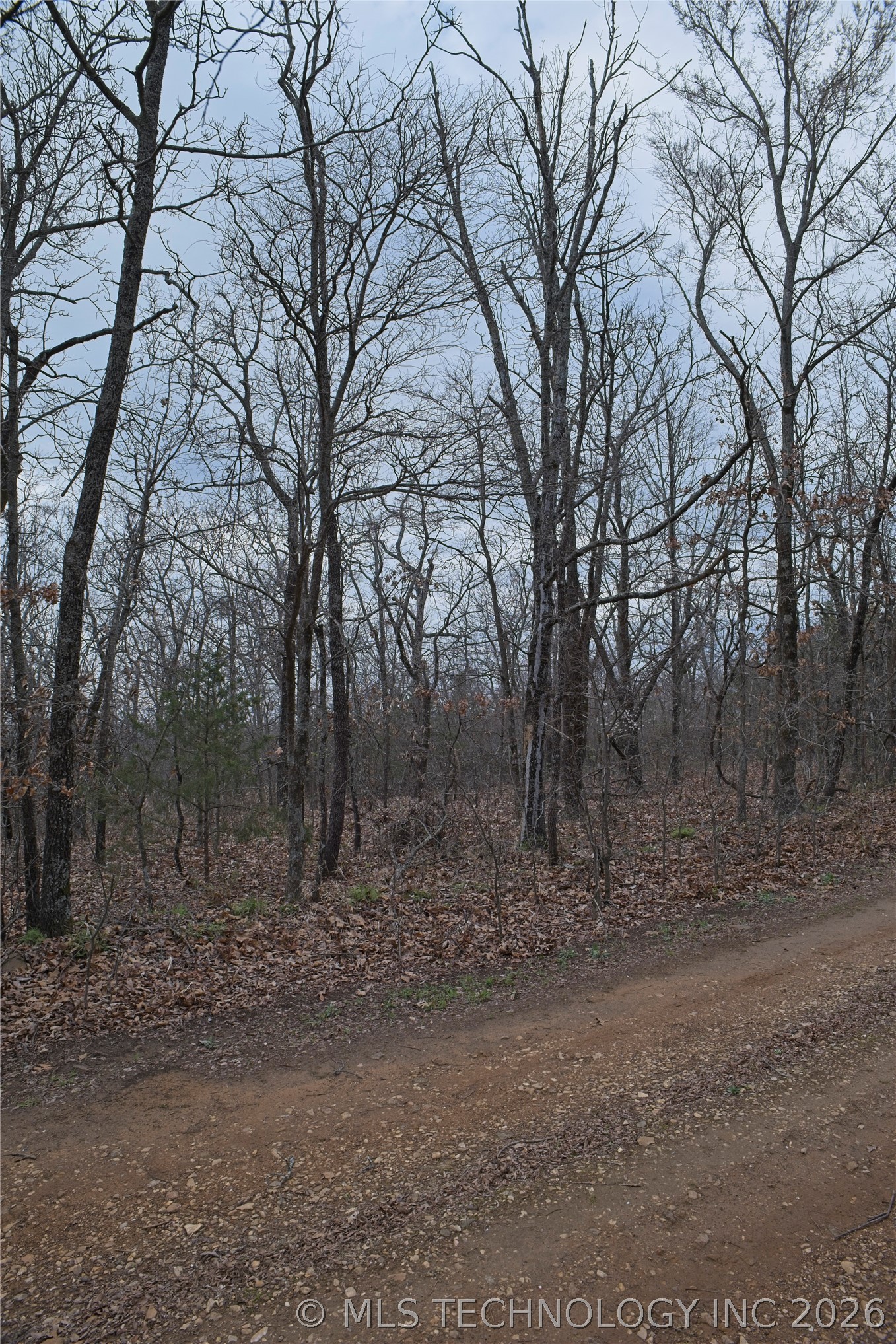 S 4547 Drive Vian OK 74962