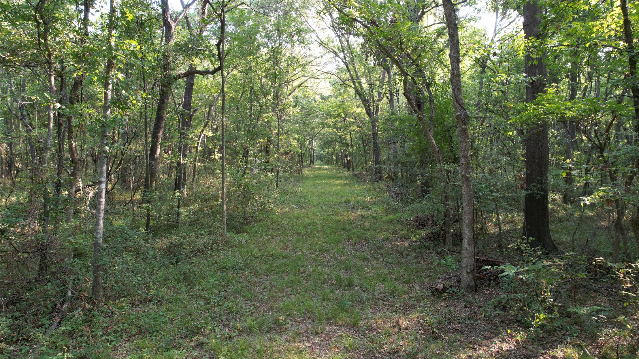 0007 E Hwy 75 Highway Atoka OK 74525