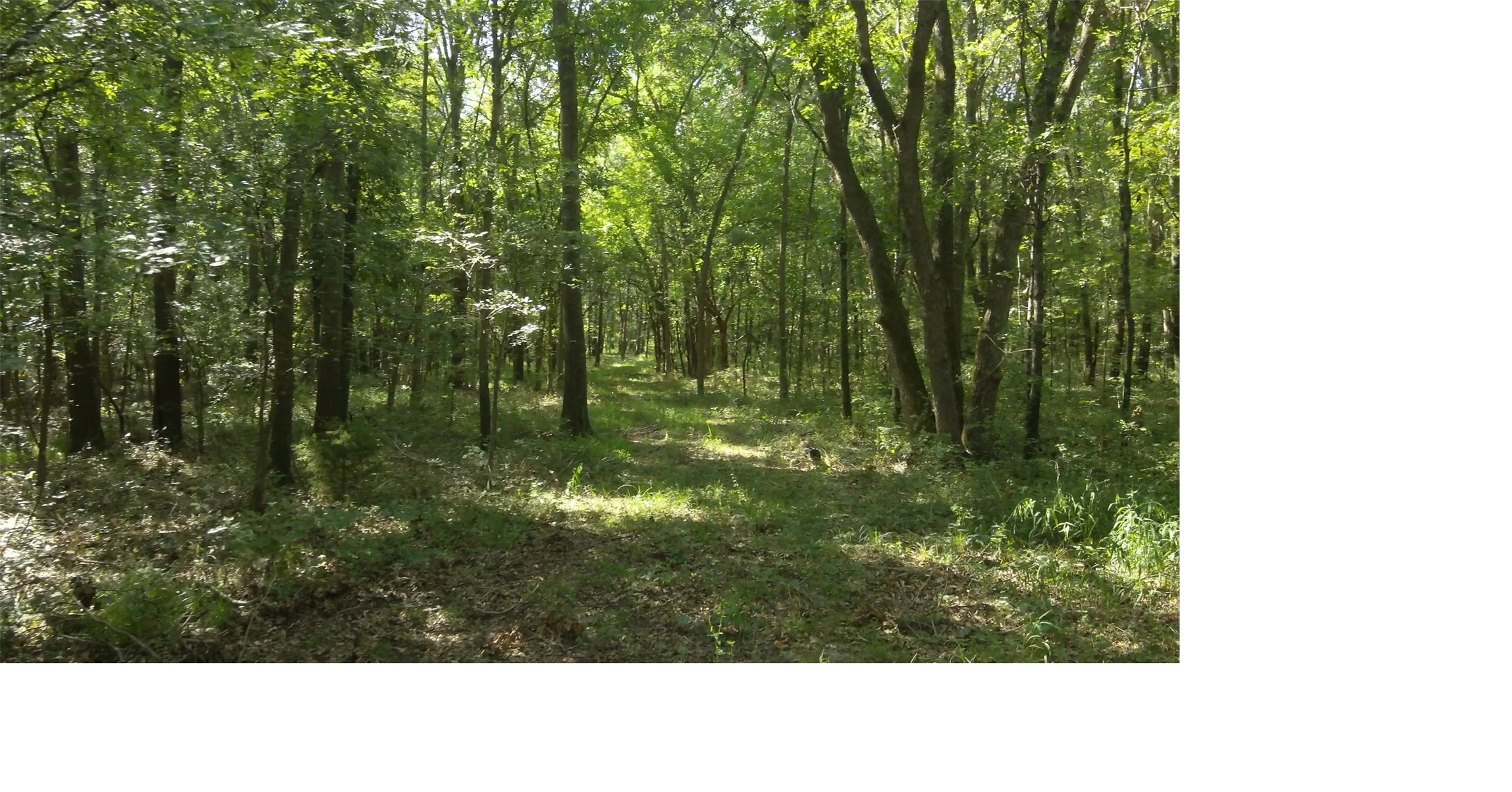 0007 E Hwy 75 Highway Atoka OK 74525