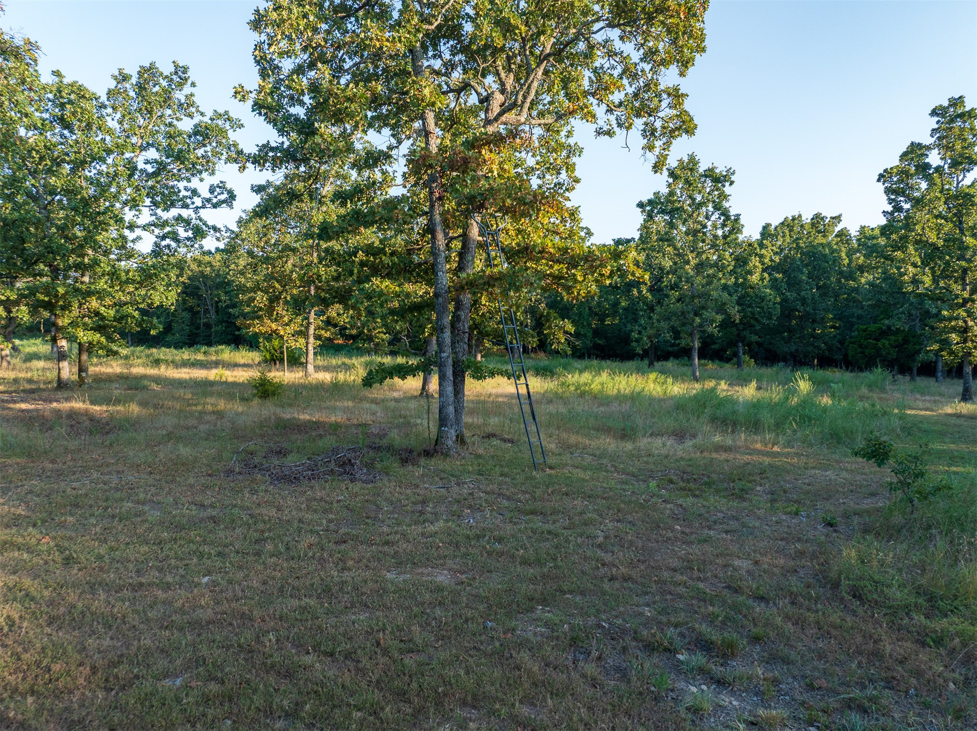 2 N 4450 Road Locust Grove OK 74352