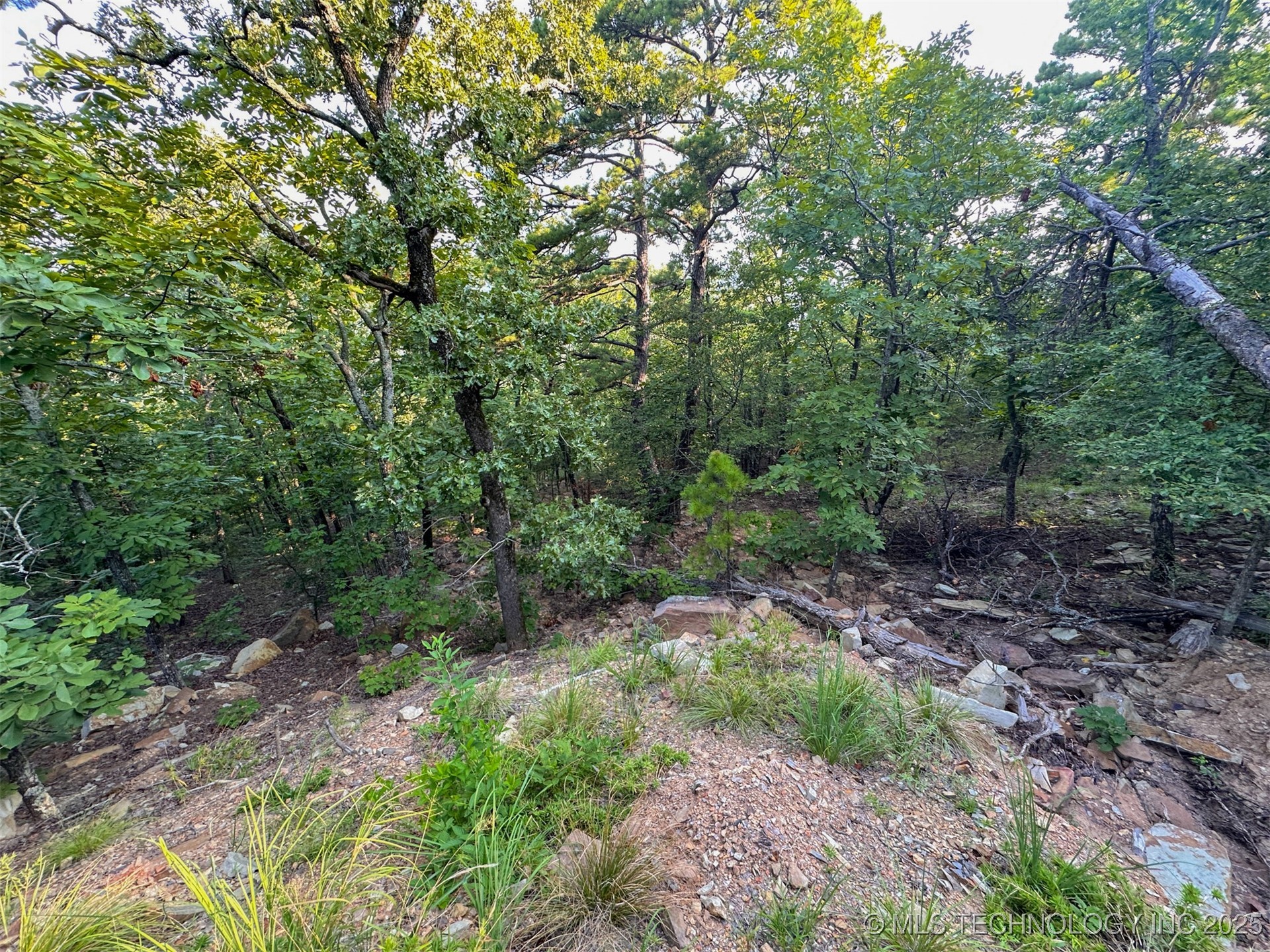 1 Moonshine Drive Clayton OK 74536