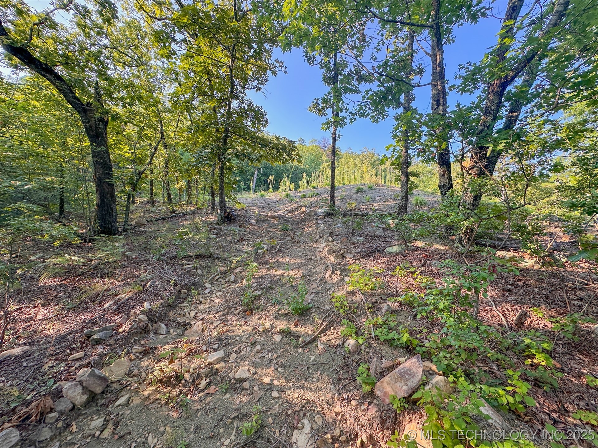 1 Moonshine Drive Clayton OK 74536