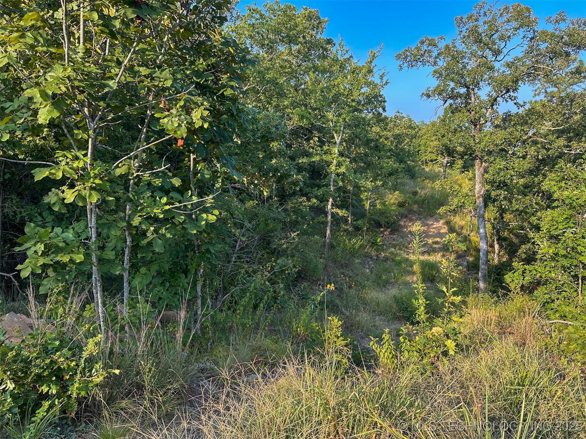 1 Moonshine Drive Clayton OK 74536