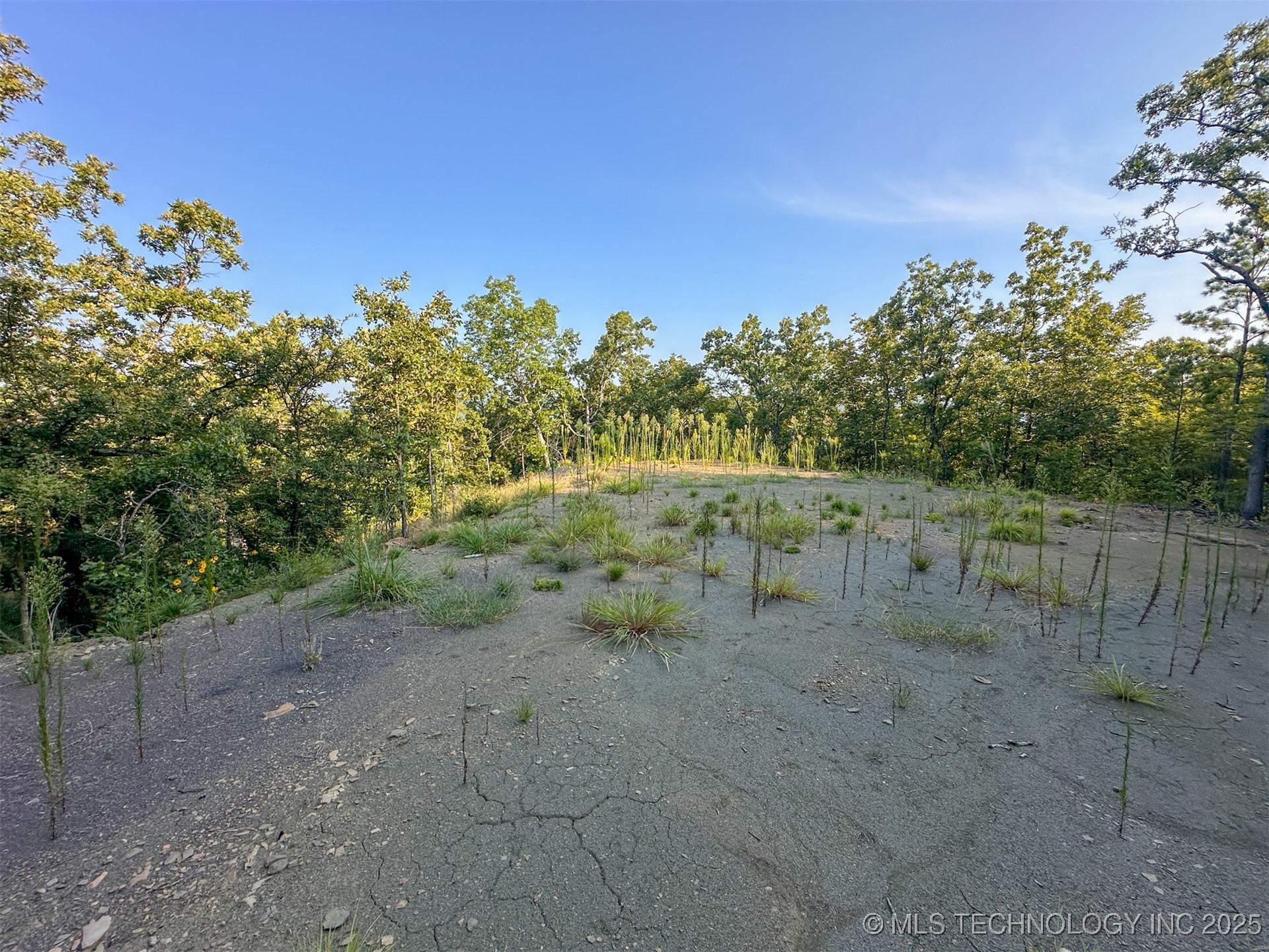 1 Moonshine Drive Clayton OK 74536