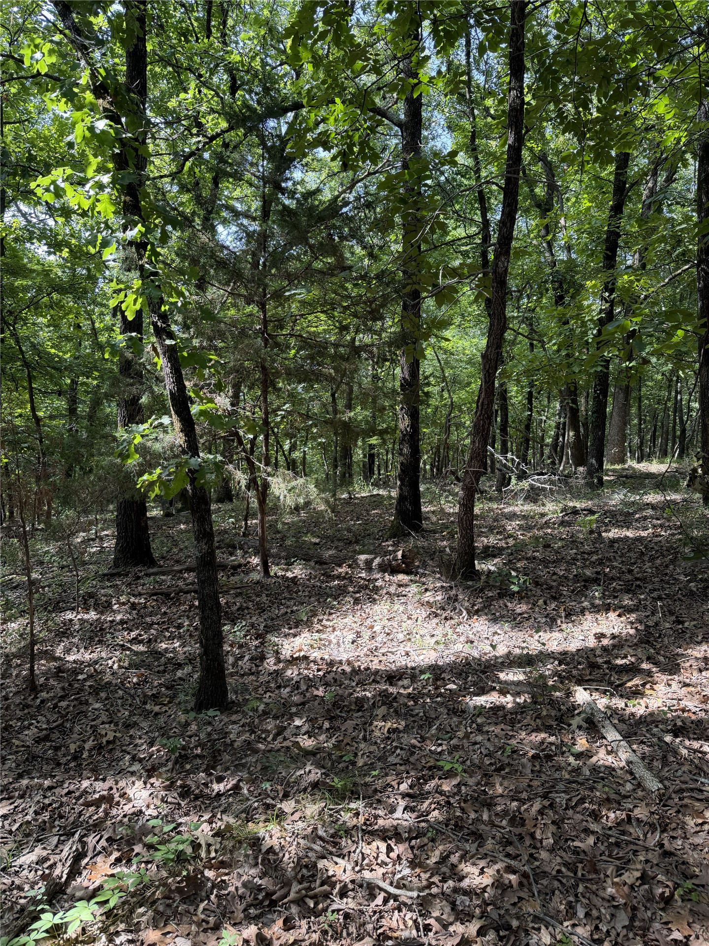 E 1100 Road Checotah OK 74426