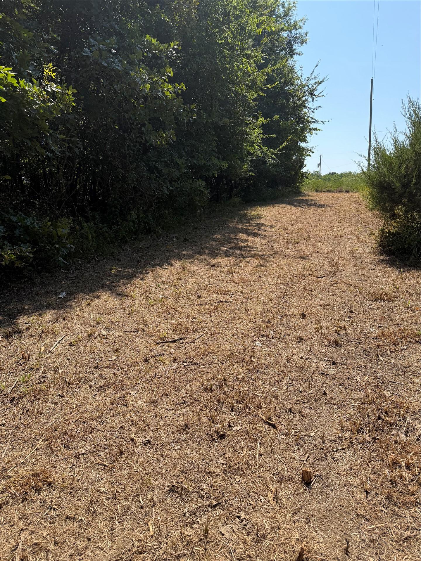 E 1100 Road Checotah OK 74426