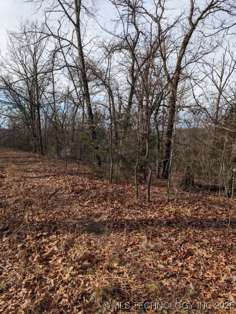 4550 Road Vian OK 74962