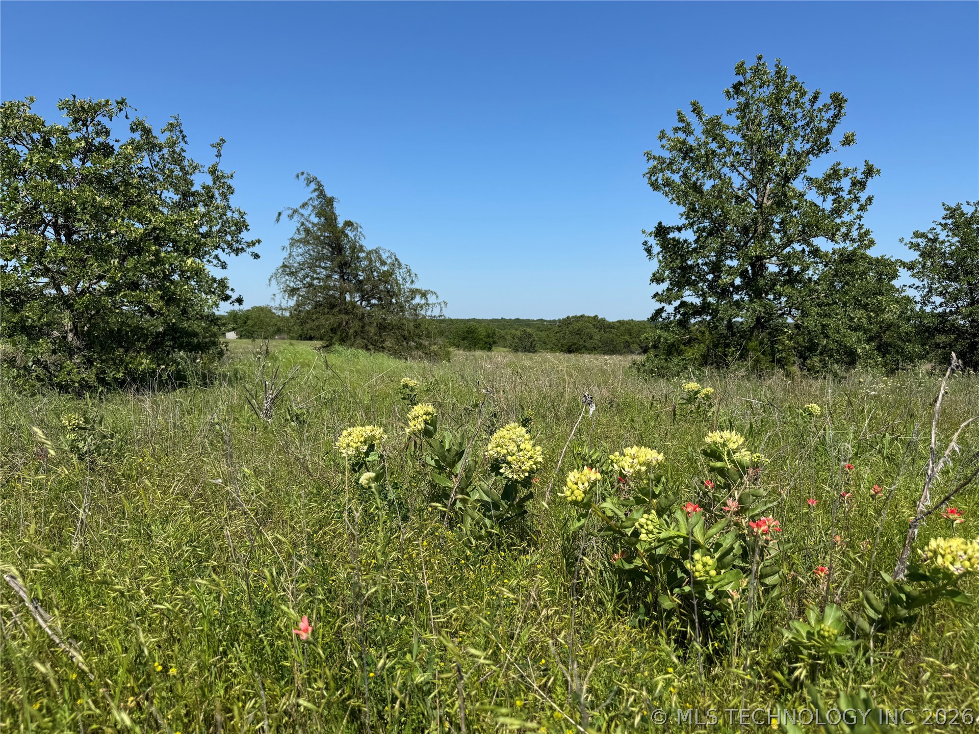 2668 Buck Horn Road Healdton OK 73438
