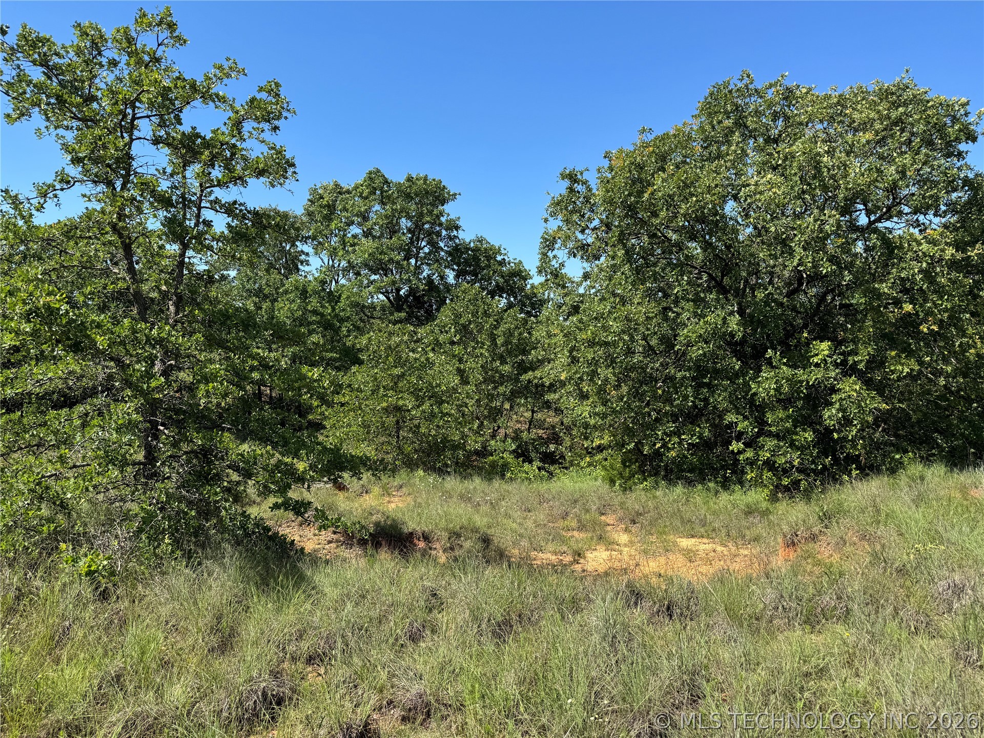 2668 Buck Horn Road Healdton OK 73438