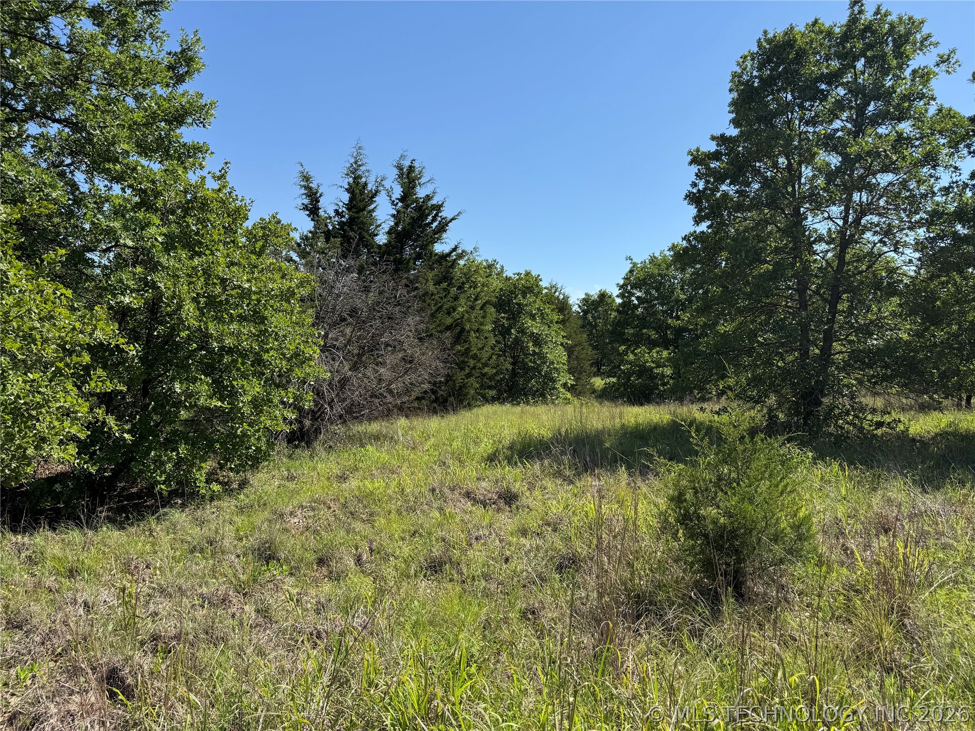 2668 Buck Horn Road Healdton OK 73438