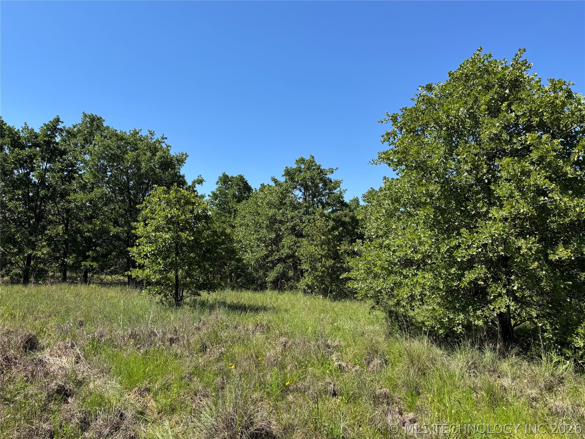 2668 Buck Horn Road Healdton OK 73438