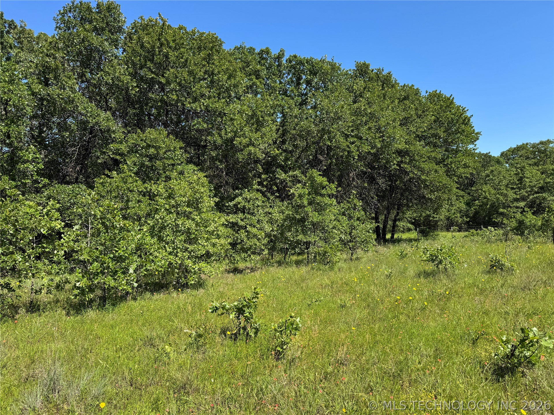 2668 Buck Horn Road Healdton OK 73438