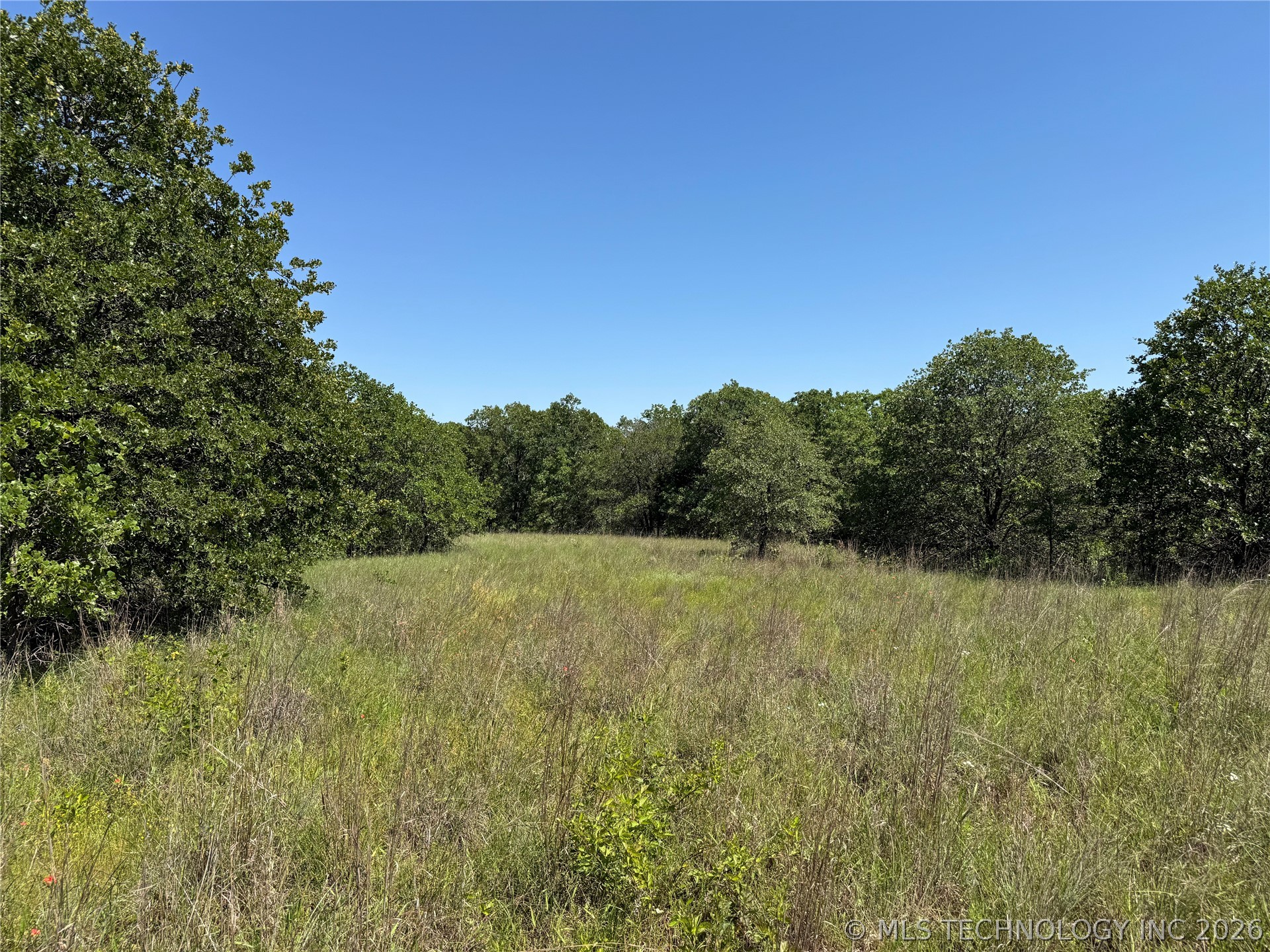 2668 Buck Horn Road Healdton OK 73438