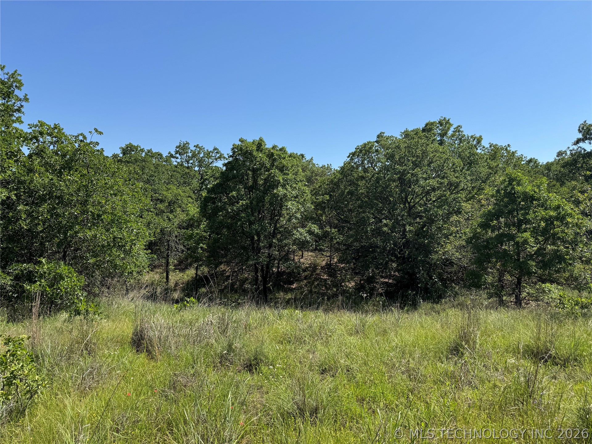 2668 Buck Horn Road Healdton OK 73438