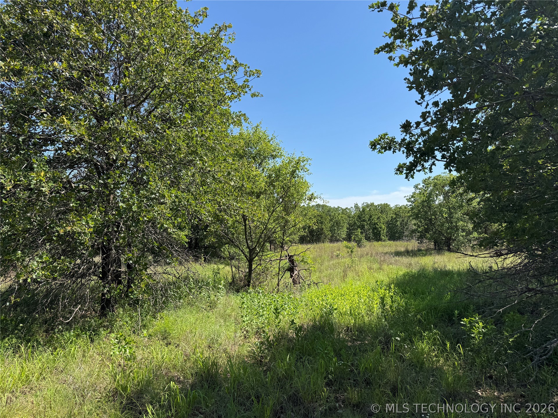 2668 Buck Horn Road Healdton OK 73438
