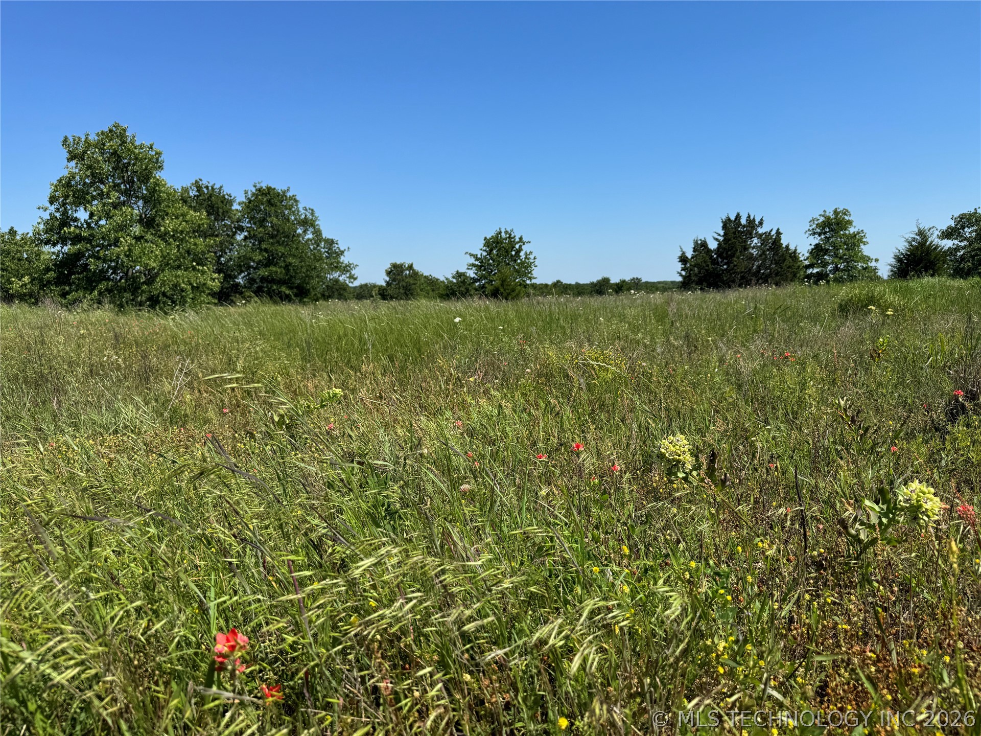 2668 Buck Horn Road Healdton OK 73438
