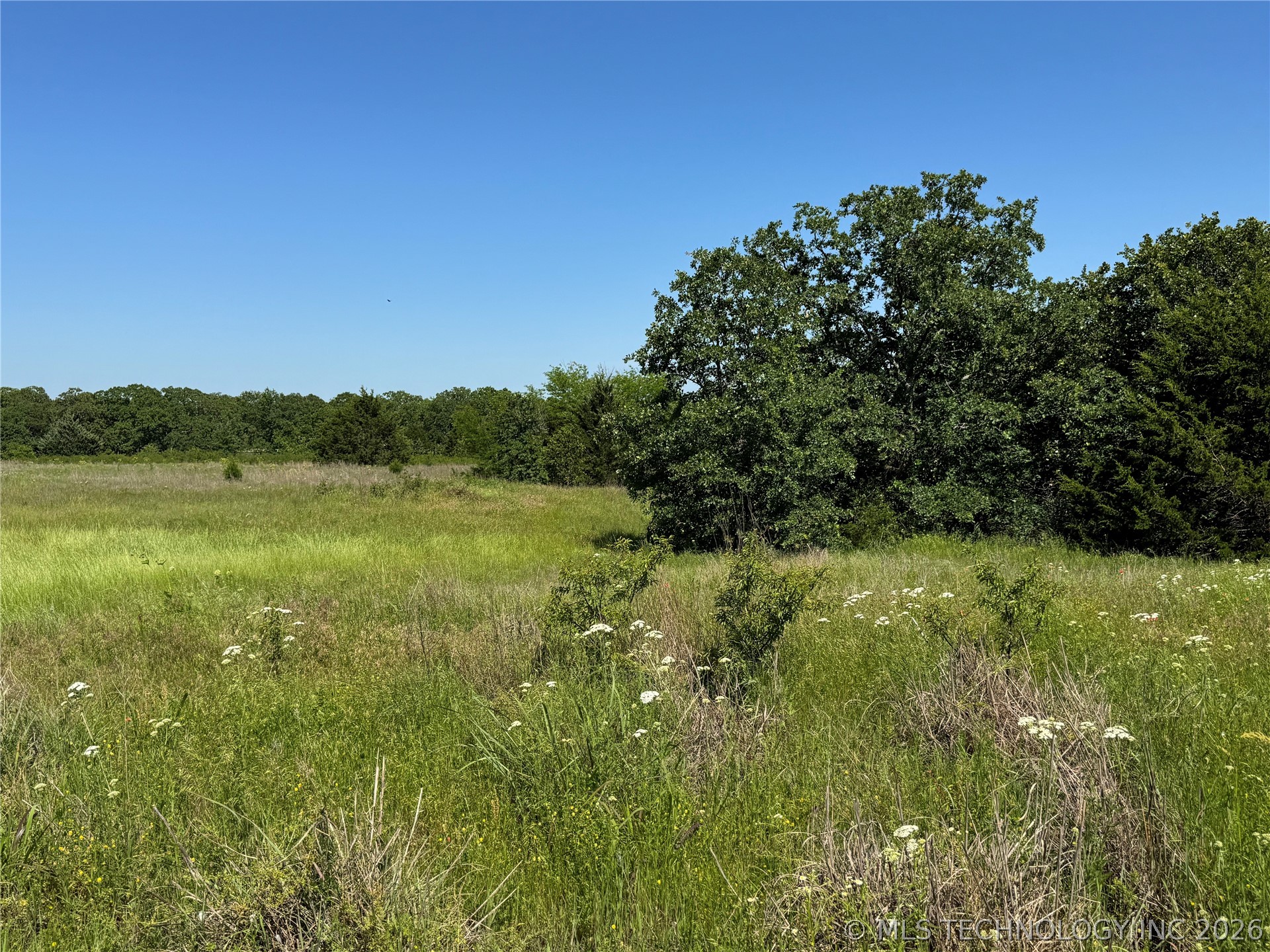 2668 Buck Horn Road Healdton OK 73438