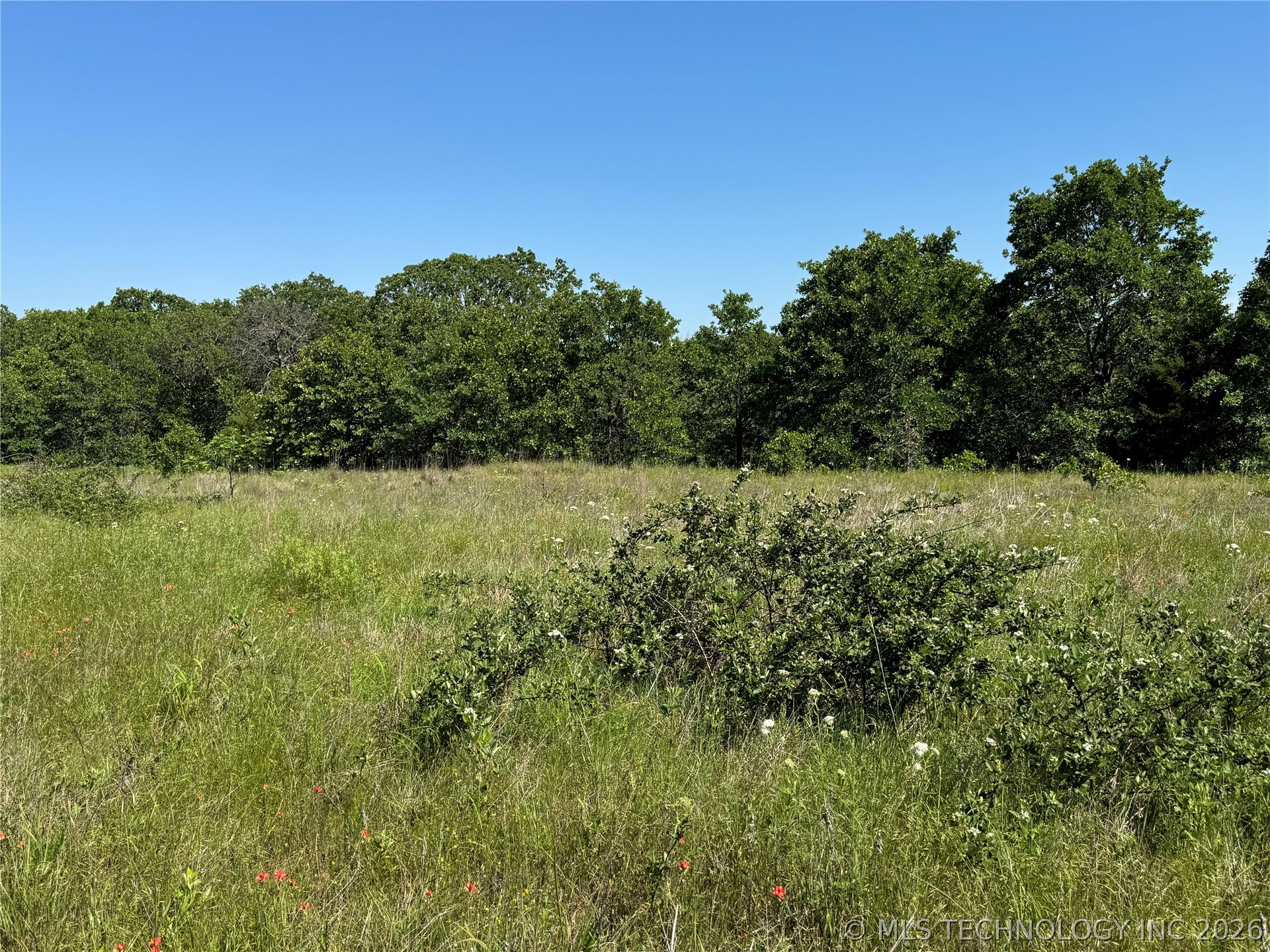 2668 Buck Horn Road Healdton OK 73438