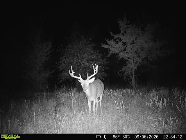 1 E 1110 Road Checotah OK 74426