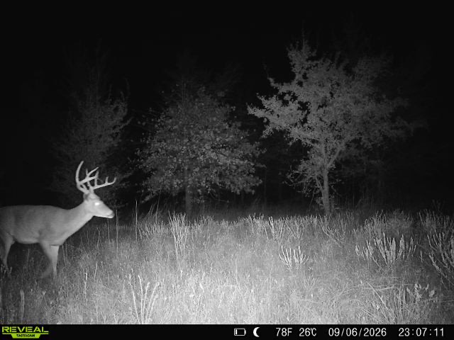 1 E 1110 Road Checotah OK 74426