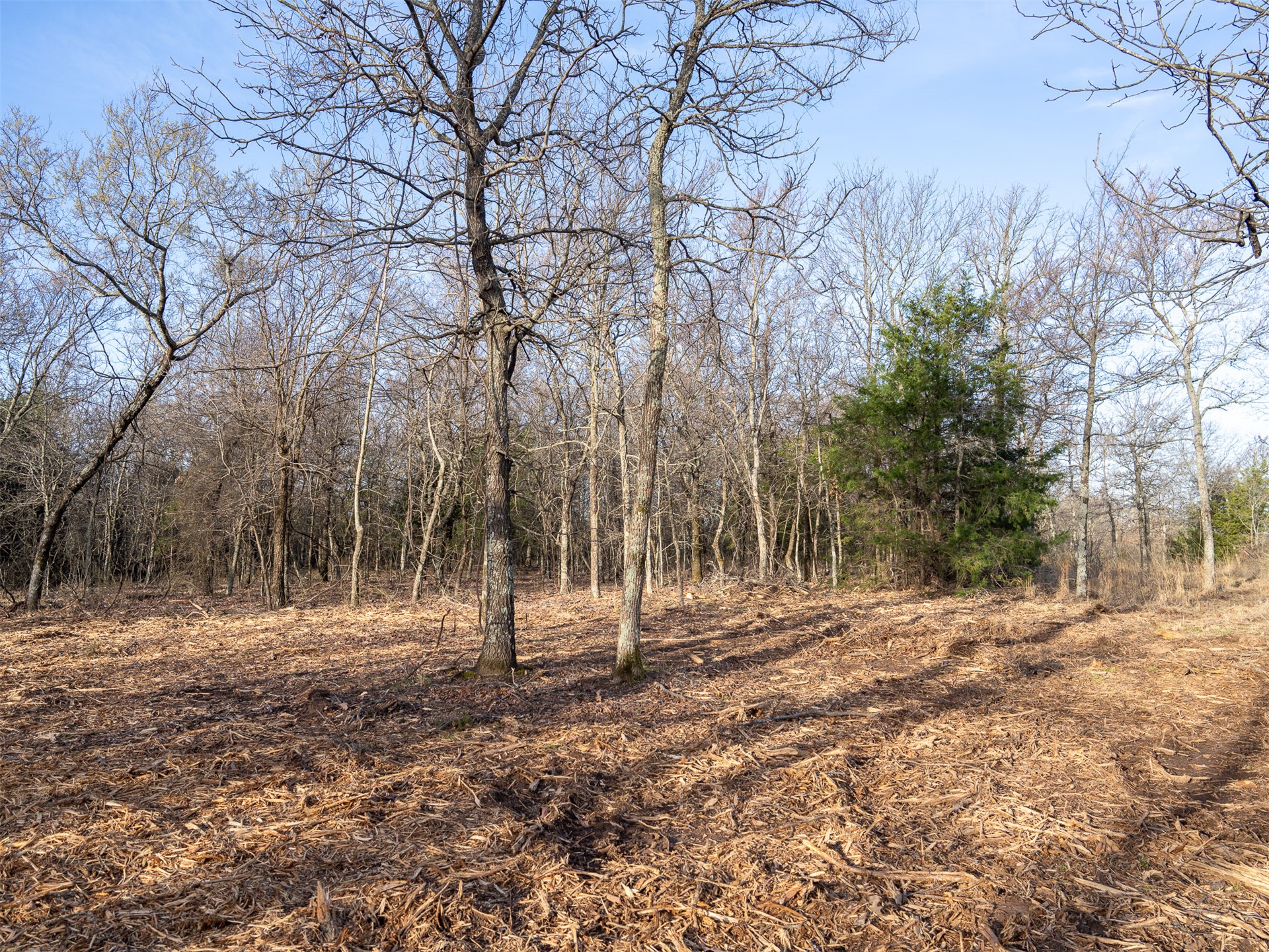 1 E 1110 Road Checotah OK 74426